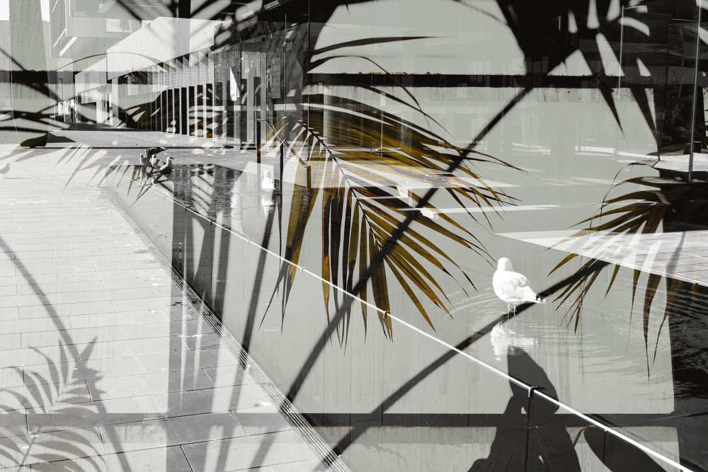 Te Omeka by Brad MacDonald